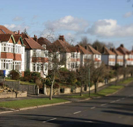 Domestic Maintenance Services
