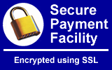 Secured credit card payment system