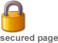SSL Secured page