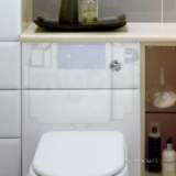 Thomas Dudley Pvawhs319738 White Vantage Concealed Cistern