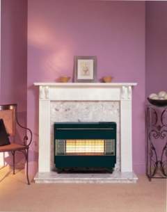 Robinson Willey Gas Fires and Wall Heaters -  R Willey Firegem Visa Highline Black Ng