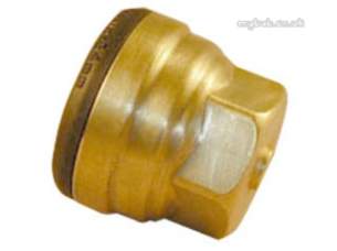 Yorkshire Tectite Fittings -  Yorks Tectite Tx61 54mm Stop End
