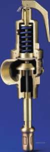 Nabic Safety Relief and Boiler Vent Valves -  Nabic Fig 500t Safety Valve And Padlock 40