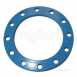 Gps 315 Mild Steel Blue Rilsan B/ring Pn16