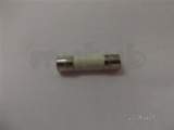 Baxi Potterton 160029 Fuse 2 Amp