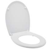Casablanca Seat And Cover Tf Ss Soft Close C Qr Hinge 20120728