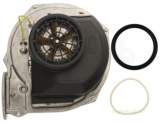 Worcester 87172043250 Fan