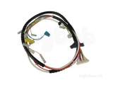 Worcester 87161215900 Harness