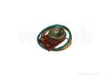 Worcester 87161423920 Thermostat Manual Reset