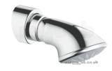 GROHE RELEXA 27063 1/2 CHAMPAGNE SHOWER HEAD 27063000