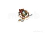 Glow Worm 2000800755 Oxygen Depletion Device
