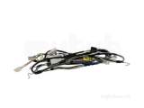 Glow Worm 801861 Wiring Harness Gw30