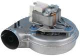 Halstead Hals 601009 Fan