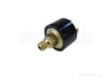 RADIANT 59015 WATER PRESSURE SWITCH