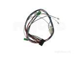 Biasi Bi1365102 Ae-se Sensors Wiring