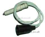 Chaffoteaux 33200 00 Electrode Plus Lead Assembly