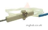 Hamworthy 747701735 Electrode And Lead