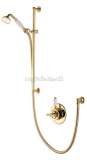 Aqualisa Aquatique 500.00 semi-recessed valve gold plated