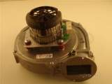 Baxi 5109926 Fan