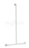 Delabie T-shaped Shower Handrail 32 1150x500 White Epoxy St Steel