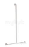Delabie T-shaped Shower Handrail 32 1150x500 White Epoxy St Steel