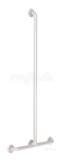 Delabie T-shaped Shower Handrail 32 1150x500 White Nylon
