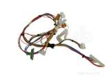 WORCESTER 87161126100 HARNESS MAIN