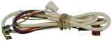 Vaillant 256271 Wiring Harness-mains Inlet