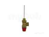 Vaillant 0020009866 Temp And Pres Relief Valve