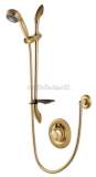 Aqualisa Turbostream 99.20.04 adjustable head gold plated