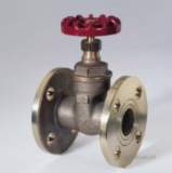 CRANE D161 BSTF BRONZE GATE VALVE 25