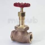 Crane D46 Bronze Globe Valve Pn40 10