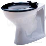 Delphic Back-to-wall Toilet P Trap Wc1742wh