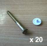 Armitage Shanks Domex S9103 Screw And Cap 20 Of Each S910301