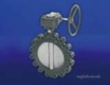 Hnh 4983 Pn25 Di Dbl Reg B/fly Valve 100