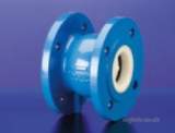 HNH 761 CI PN16 CI CHECK VALVE 65