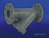 Hnh 810 Pn16 Cast Iron Strainer 100