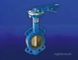 Hnh 950wg C.i. Butterfly Valve 100mm
