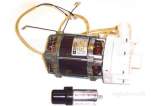 Winterhalter 3102444 Rinse Booster Pump