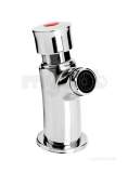Z2 Bib Chrome Single Timed Flow Control