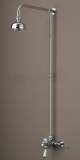 Regency Dual Control Thermo Shower And Rigid