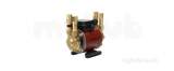 Grundfos Amazon 2.0 Bar Brass Single Impeller Pump