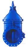 Sluice and Check Valves products
