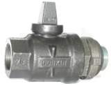 DONKIN 55LD SGI BSP BALL VALVE plus CAP 25