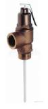 Bailey 716t Press And Temp Relief Valve 20