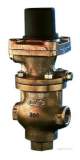 Related item Bailey G4 2042 Bsp Prv 5-50psi 50mm