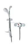 Triton Domina Care Shower C/w Ev Kit Wc