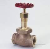 CRANE D46 BSP BRONZE GLOBE VALVE PN40 20