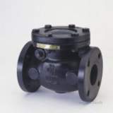 CRANE F491 BSTD CAST IRON CHECK VALVE 65