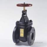 CRANE F52 BSTE CAST IRON GATE VALVE 250